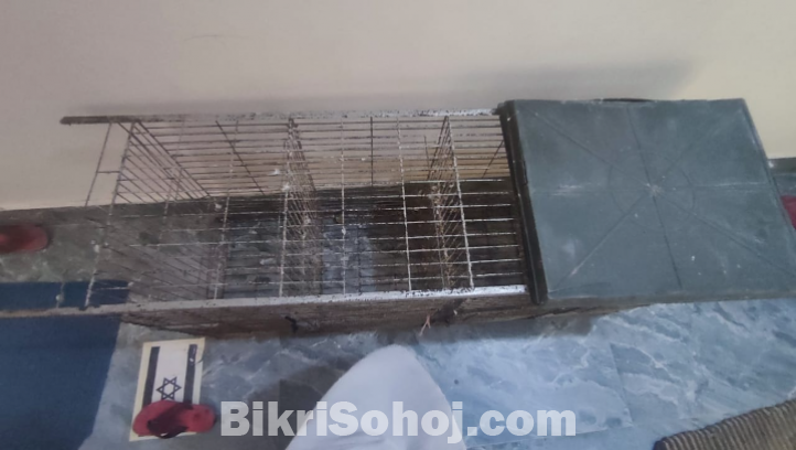কবুতরের খাঁচা
